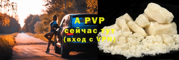 соль ск Пестово