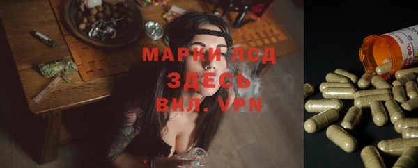 дмт Баксан