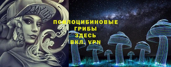 ешки Переславль-Залесский
