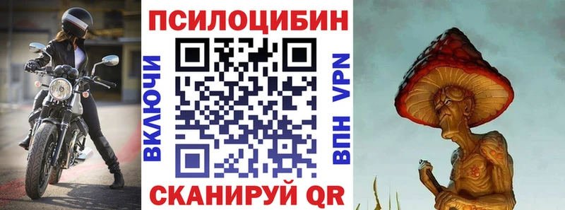 Псилоцибиновые грибы Cubensis  Балахна 